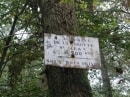 Bois de Chamerolles